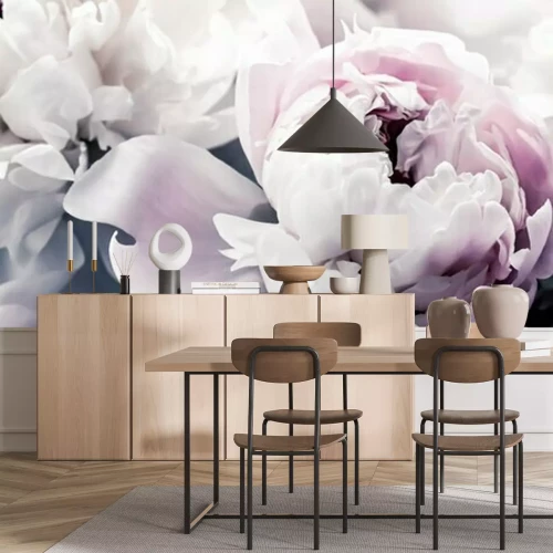 Fototapete Pastellrosa Pfingstrosenknospen