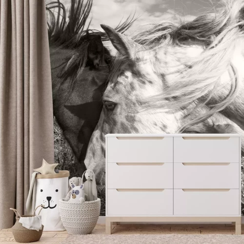 Fototapete Zwei Pferde in Sepia