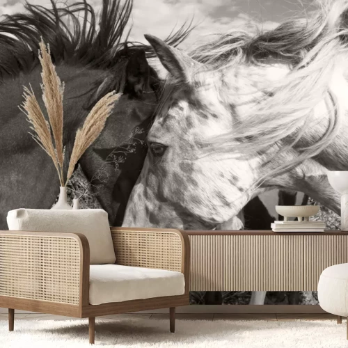 Fototapete Zwei Pferde in Sepia