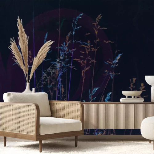 Fototapete Zarte Wildgräser auf hellem Hintergrund