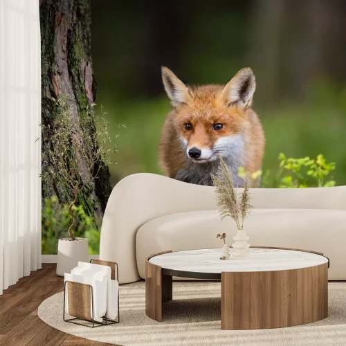 Fototapete Ein Fuchs an einem Baum