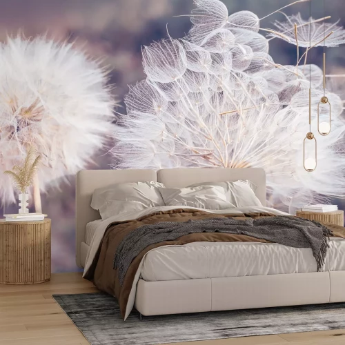 Fototapete Löwenzähne auf verschwommenem Hintergrund