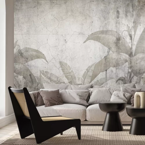 Fototapete Tropische Pflanzenblätter auf Betonhintergrund