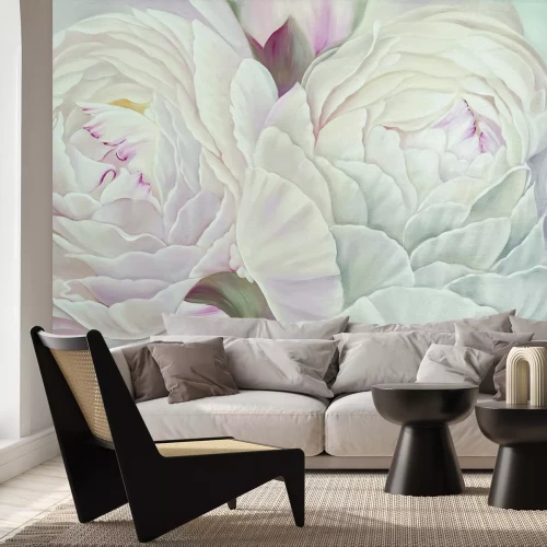 Fototapete Pfingstrosenblumen in zarten Rosatönen