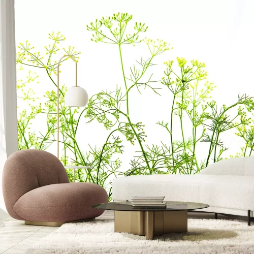 Fototapete Wilde Wiese mit grünen Pflanzen