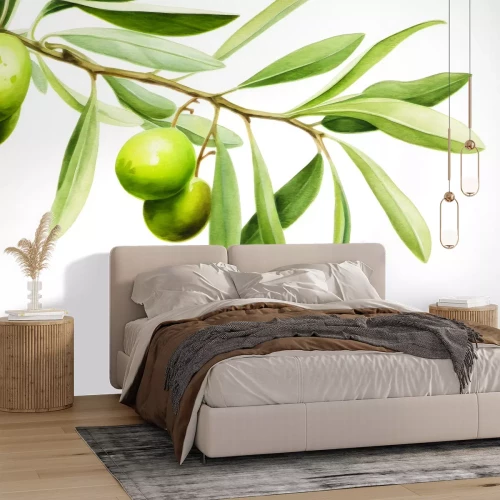 Fototapete Grüne Olivenzweig auf weißem Hintergrund