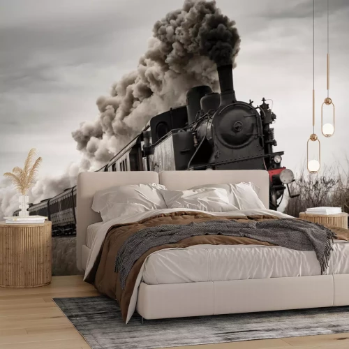 Fototapete Rasende Dampflokomotive auf den Gleisen