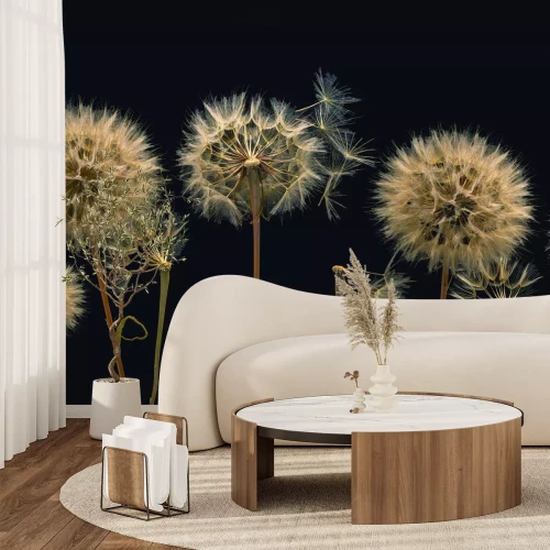 Fototapete Löwenzähne aus der Nähe gesehen