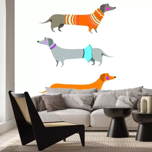 Fototapete Dackel in Kleidung auf weißem Hintergrund