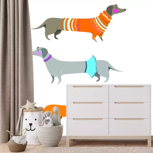 Fototapete Dackel in Kleidung auf weißem Hintergrund