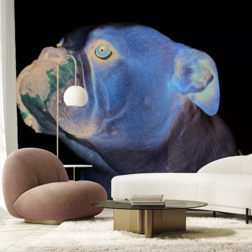 Fototapete Englische Bulldogge auf weißem Hintergrund