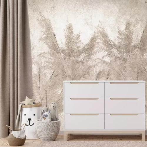 Fototapete Pampasgras auf beigem Hintergrund