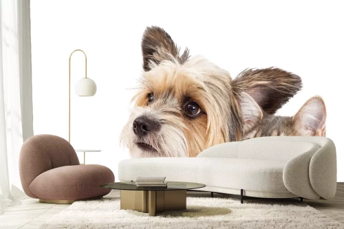 Visualisierung des Produkts