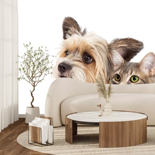 Fototapete Welpe und Kätzchen Porträt auf weißem Hintergrund