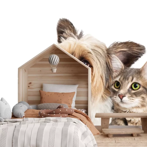 Fototapete Welpe und Kätzchen Porträt auf weißem Hintergrund