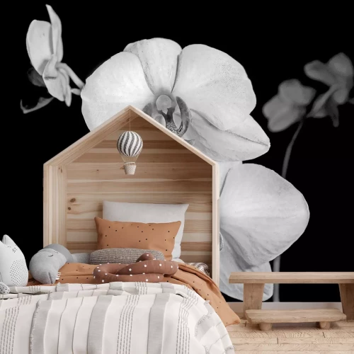 Fototapete Weiße Orchidee auf schwarzem Hintergrund