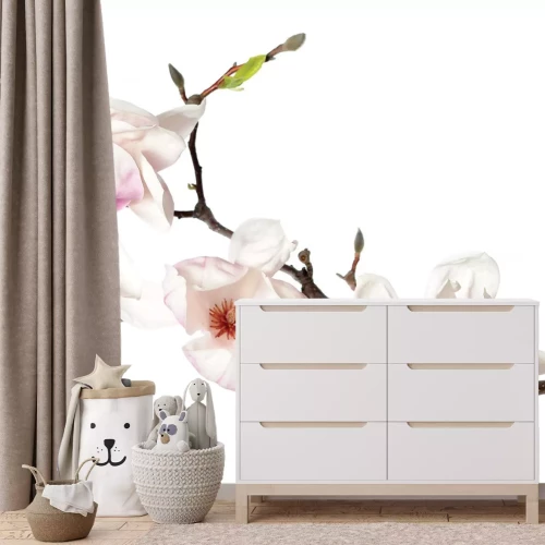 Fototapete Orchideenstiel mit weißen Blüten