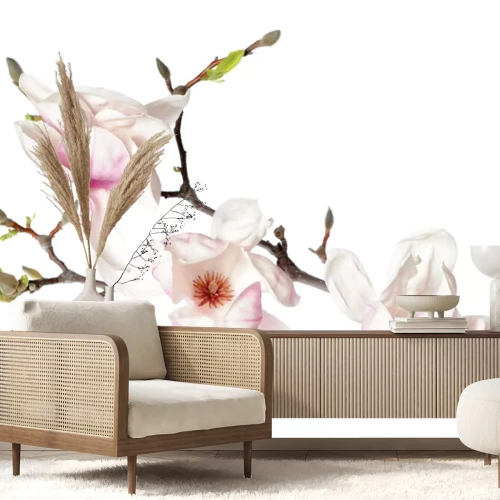 Fototapete Orchideenstiel mit weißen Blüten