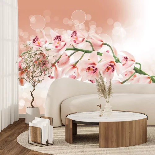 Fototapete Zweig mit Orchideenblüten zwischen Blasen