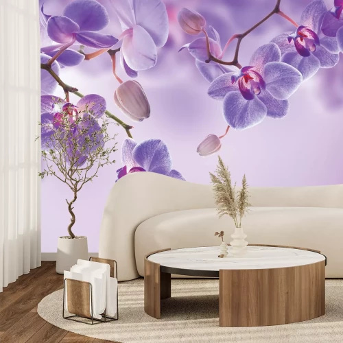 Fototapete Hängende violette Orchideen