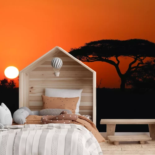 Fototapete Afrikanische Vegetation bei Sonnenuntergang