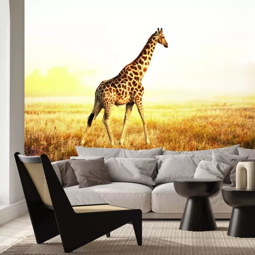 Fototapete Giraffe auf einer sonnigen Safari