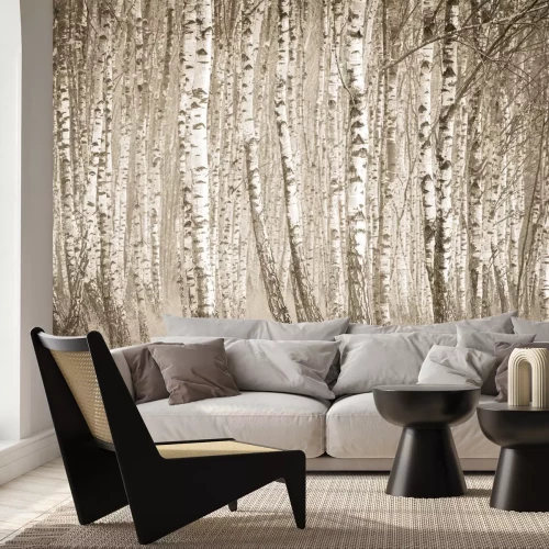 Fototapete Birkenwald in Sepiatönen