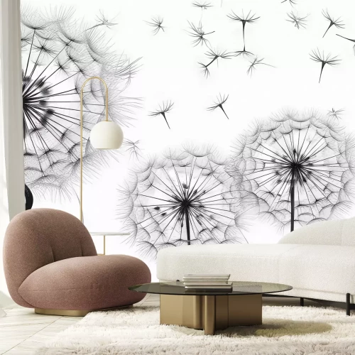 Fototapete Löwenzahn schwarz weiß modernes botanisches Muster