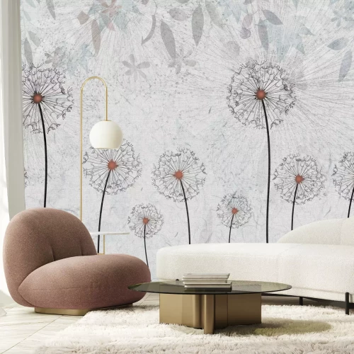 Fototapete Abstrakte Löwenzahnblumen auf grauem Hintergrund mit zarter Textur, moderner Stil