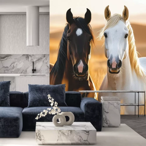 Sticker Zwei Pferde im hohen Gras