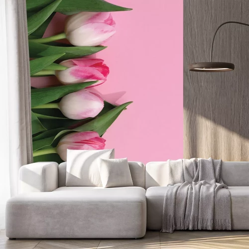 Sticker Rosa Tulpen auf hellrosa Hintergrund