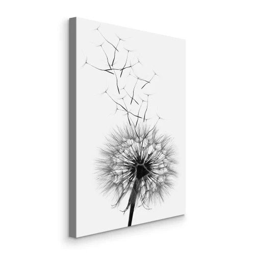 Bild Schwarzer und weißer Löwenzahn mit schwimmenden Samen