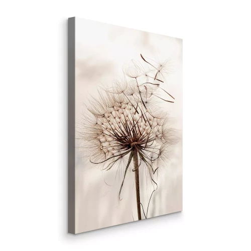 Bild Löwenzahn im warmen Licht mit schwebenden Samen