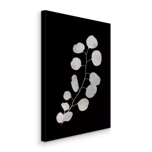 Bild Leuchtende Eukalyptusblätter auf schwarzem Hintergrund