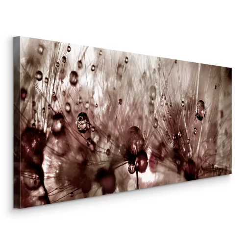 Bild Löwenzahnmotiv mit glänzenden Tropfen in Brauntönen