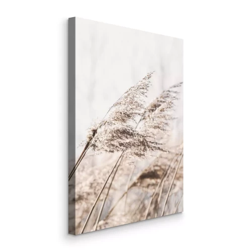 Bild Beige Gräser, die im Wind auf dem Feld wehen