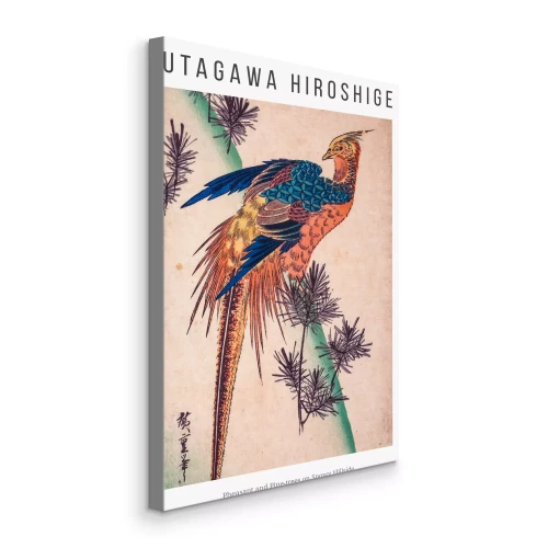 Bild Ein wunderschöner, exotischer Vogel in seinem natürlichen Lebensraum