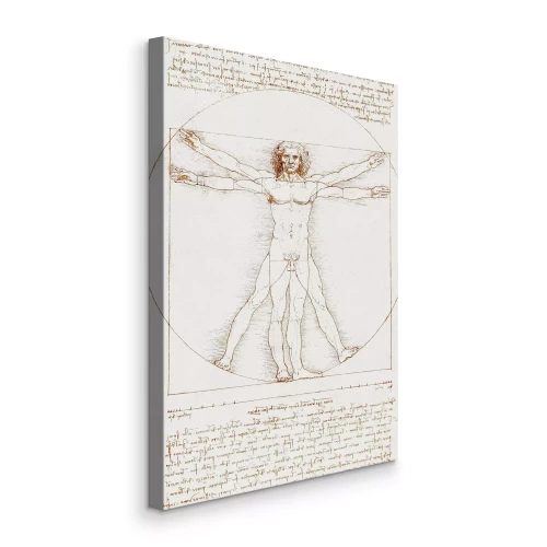 Bild Mathematische Proportionen des menschlichen Körpers nach Vitruv