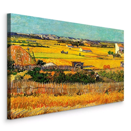 Bild Goldene Felder in der Sommersonne