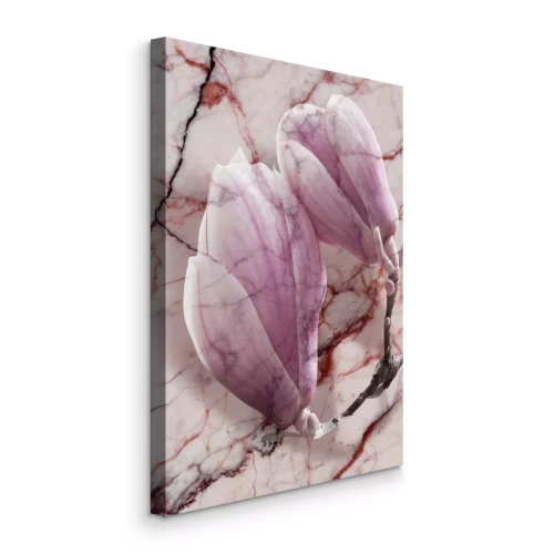 Bild Magnolien in Rosatönen auf Marmorgrund