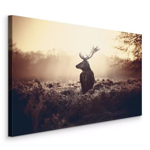 Bild Ein männlicher Hirsch vor dem Hintergrund der Morgendämmerung