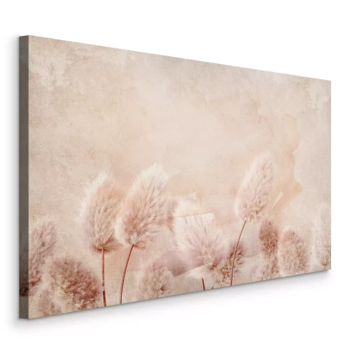 Bild Leuchtende, flauschige Gräser in einer zarten Komposition