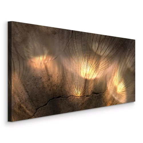 Bild Löwenzahn im goldenen Licht vor dem Hintergrund eines Felsens