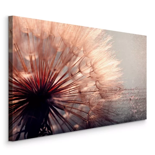 Bild Rosa und bernsteinfarbene Pusteblume mit Inschrift im Hintergrund