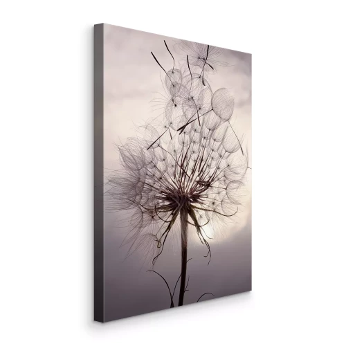 Bild Ein leuchtender Löwenzahn vor dem Himmel