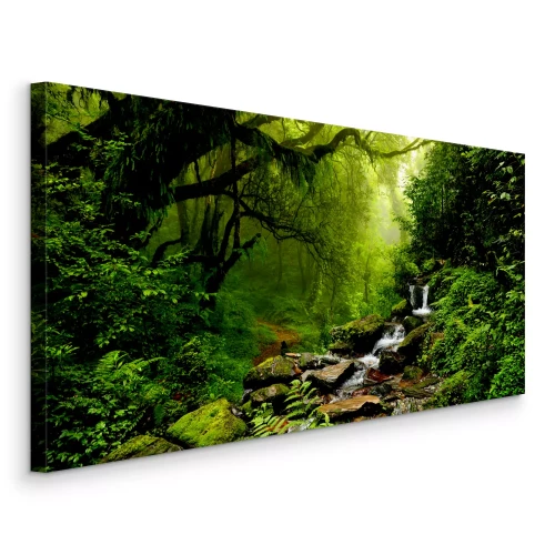 Bild Ein Wasserfall und ein Wald voller Grün