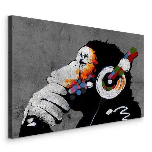 Bild Affe mit bunten Kopfhörern in Grau