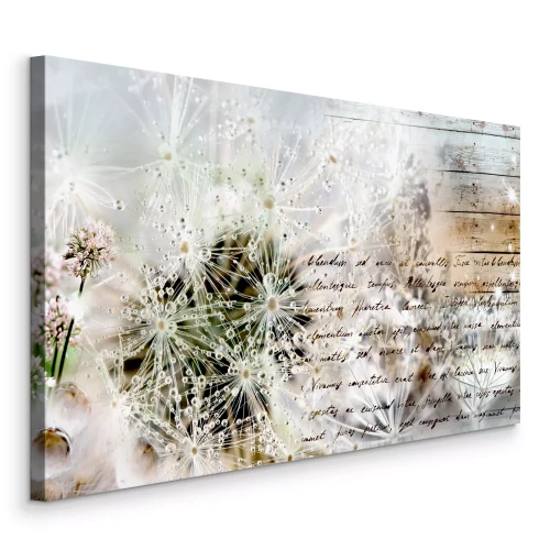 Bild Leuchtende Löwenzahnblüten mit Tau und Text auf Holzgrund