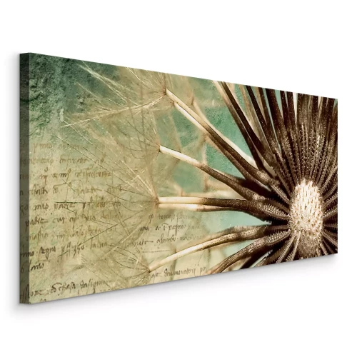 Bild Makrofotografie von Löwenzahnsamen auf grünem und beigem Hintergrund