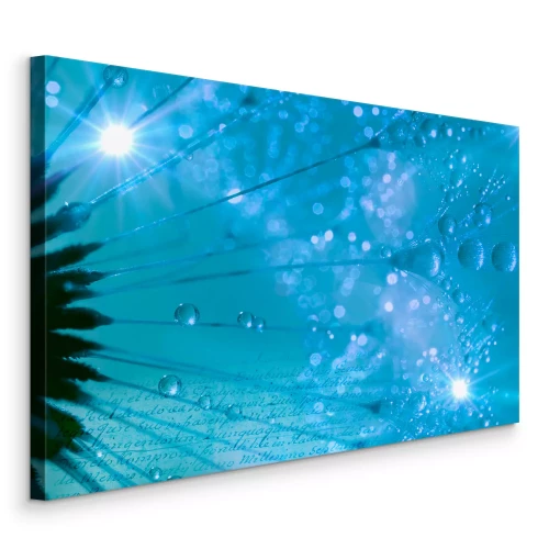 Bild Makrofotografie eines Löwenzahns in Blautönen